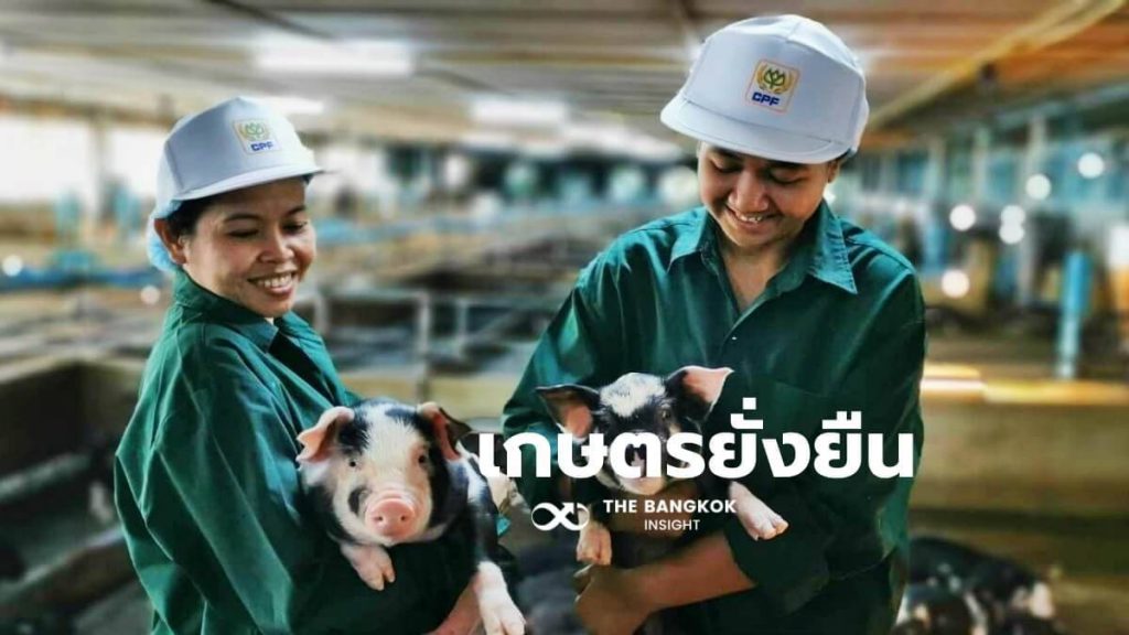 กว่า 4 ทศวรรษ ‘ซีพีเอฟ’ ส่งเสริมเกษตรยั่งยืน สู่ความสำเร็จ ‘3 หมู่บ้านเกษตรกรรม’ | The Bangkok Insight
