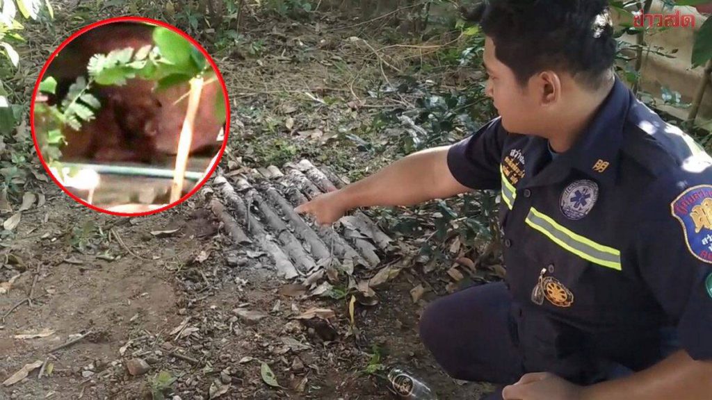 พิตบูลโดดขย้ำเจ้าของวัย 85 แผลทั่วร่างสาหัส หลังแค่หันไปดุเพราะเดินตาม | Khaosod